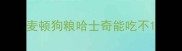 麦顿狗粮哈士奇能吃不
