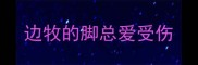 边牧的脚总爱受伤
