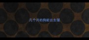 几个月的狗能出去溜