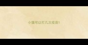 小猫可以打几次疫苗