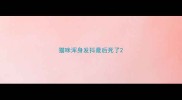 猫咪浑身发抖最后死了