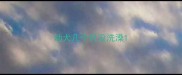 幼犬几个月没洗澡
