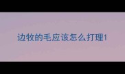 边牧的毛应该怎么打理
