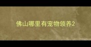 佛山哪里有宠物领养