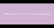 小狗排出白色虫子怎么办专业寄生虫类型与科学处理指南