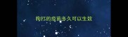 狗打的疫苗多久可以生效