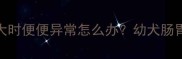 萨摩耶3个月大时便便异常怎么办幼犬肠胃护理全攻略