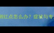 猫咪耳朵内侧红点怎么办症状与专业护理指南