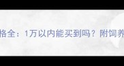 白泰迪价格全1万以内能买到吗附饲养避坑指南