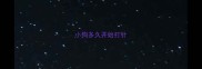 小狗多久开始打针