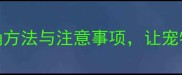 金毛在家洗澡的正确方法与注意事项让宠物清洁更安全高效