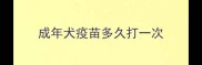 成年犬疫苗多久打一次
