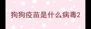 狗狗疫苗是什么病毒