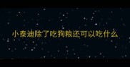 小泰迪除了吃狗粮还可以吃什么