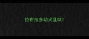 拉布拉多幼犬乱吠