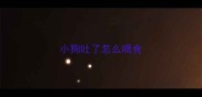 小狗吐了怎么喂食