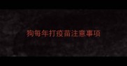 狗每年打疫苗注意事项