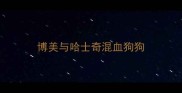 博美与哈士奇混血狗狗