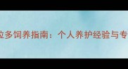 郑州拉布拉多饲养指南个人养护经验与专业建议全