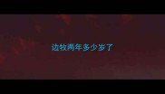 边牧两年多少岁了