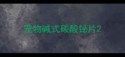 宠物碱式碳酸铋片