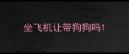 坐飞机让带狗狗吗