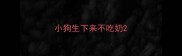 小狗生下来不吃奶