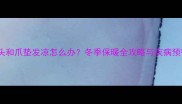 猫咪鼻头和爪垫发凉怎么办冬季保暖全攻略与疾病预警指南