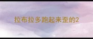 拉布拉多跑起来歪的