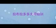 拉布拉多多大开始训