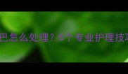 两个月大幼猫黑下巴怎么处理5个专业护理技巧与家庭急救方案