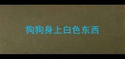 狗狗身上白色东西