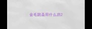 金毛跳蚤用什么药