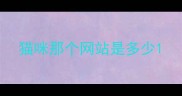猫咪那个网站是多少