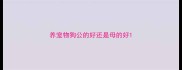 养宠物狗公的好还是母的好