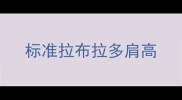 标准拉布拉多肩高