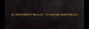 哈士奇换毛期掉毛严重怎么办3大专业护理方案助你轻松应对