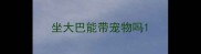 坐大巴能带宠物吗