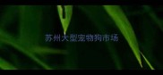 苏州大型宠物狗市场