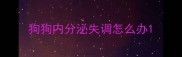 狗狗内分泌失调怎么办