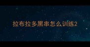 拉布拉多黑串怎么训练