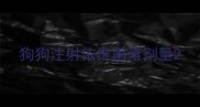 狗狗注射依维菌素剂量