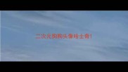 二次元狗狗头像哈士奇