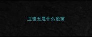 卫佳五是什么疫苗