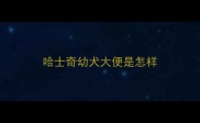 哈士奇幼犬大便是怎样