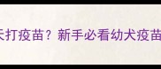 狗狗接回家后几天打疫苗新手必看幼犬疫苗接种全攻略