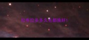 拉布拉多多久毛都换好
