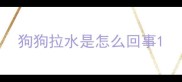 狗狗拉水是怎么回事