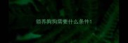 领养狗狗需要什么条件
