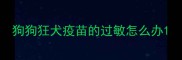 狗狗狂犬疫苗的过敏怎么办